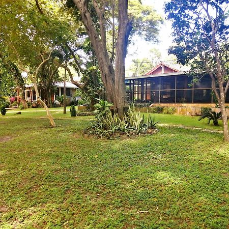 Xalli Beach Hotel Altagracia 외부 사진